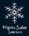 nss_logo_top.jpg(7076 byte)