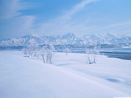 uonogawa_snow_265.jpg(31695 byte)